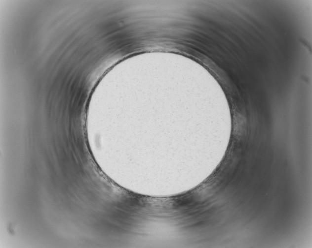 X0000103930856200810171750