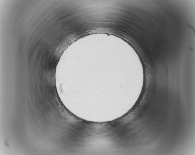 X0000103930857200810171750