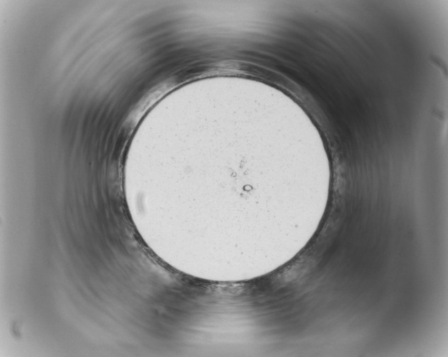 X0000103930858200810171750