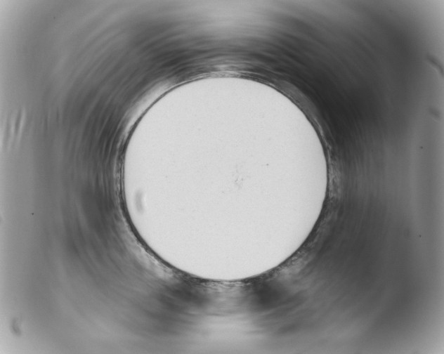 X0000103930859200810171750