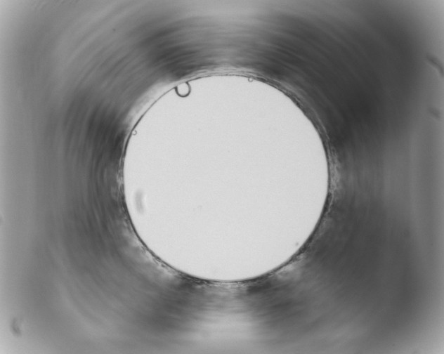 X0000103930860200810171750