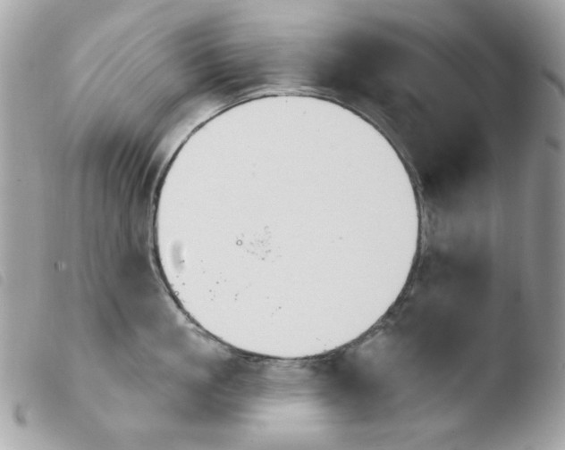 X0000103930861200810171750