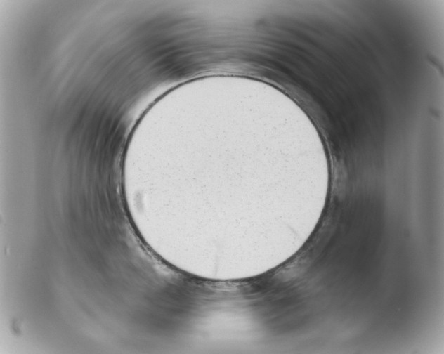 X0000103930862200810171750