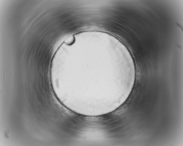 X0000103930863200810171750