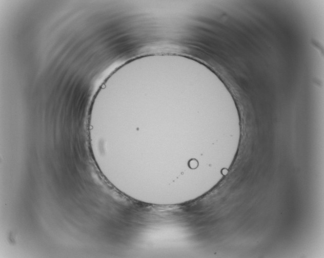 X0000103930864200810171750