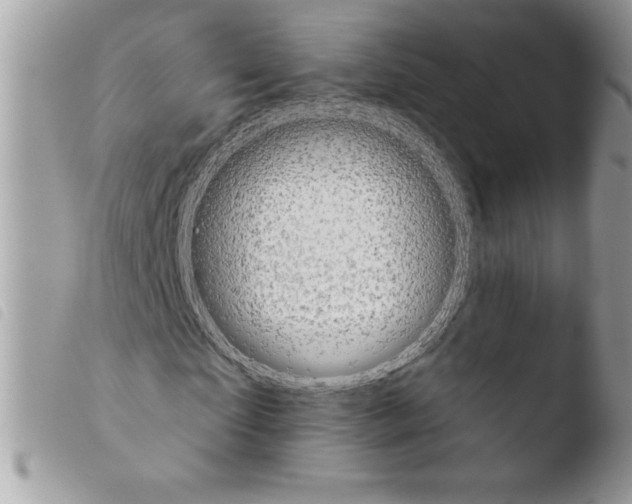 X0000103930865200810171749