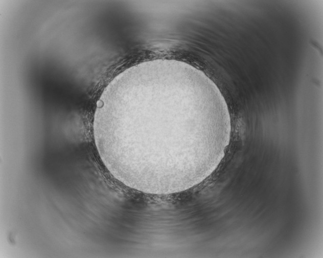 X0000103930868200810171749