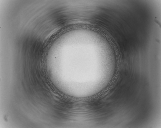 X0000103930869200810171749