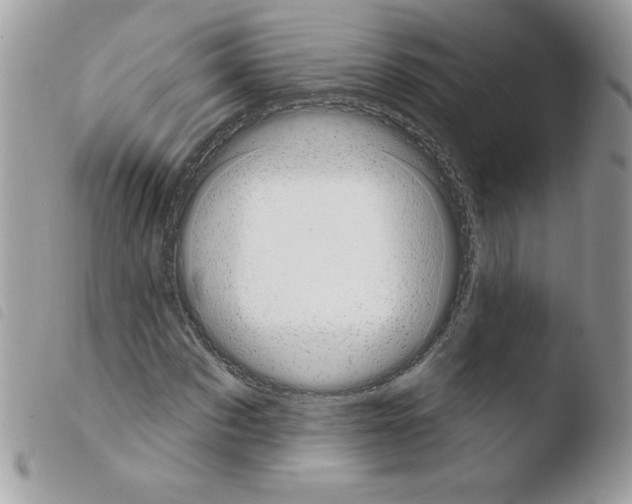 X0000103930873200810171749