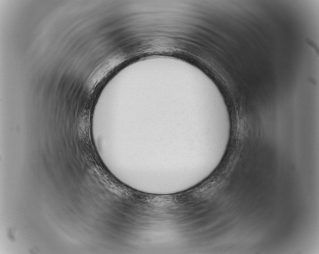 X0000103930874200810171749