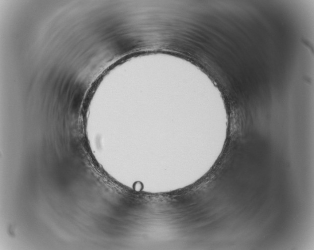 X0000103930876200810171749