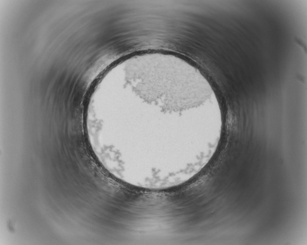 X0000103930877200810171749