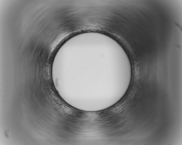 X0000103930878200810171749