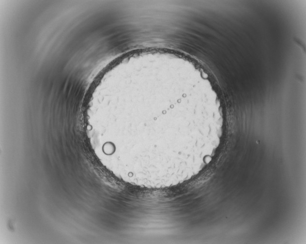 X0000103930879200810171749