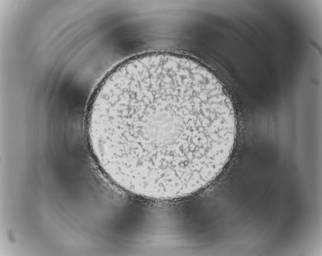 X0000103930880200810171749