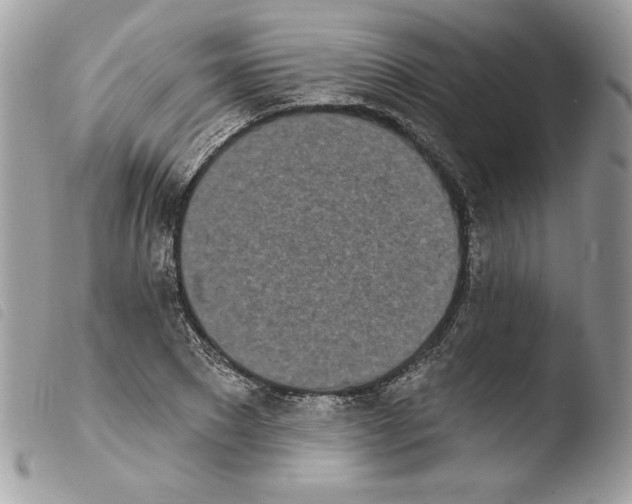 X0000103930881200810171749