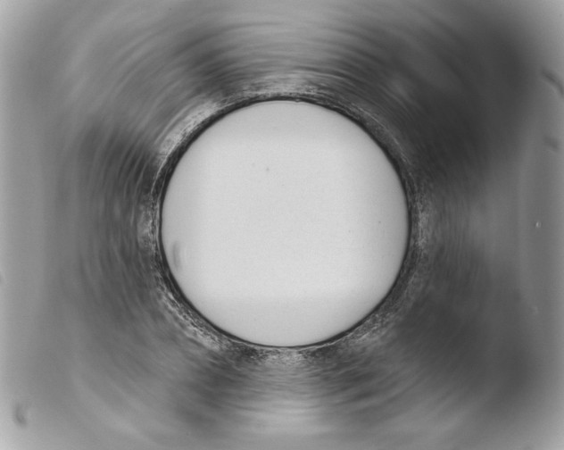 X0000103930882200810171749