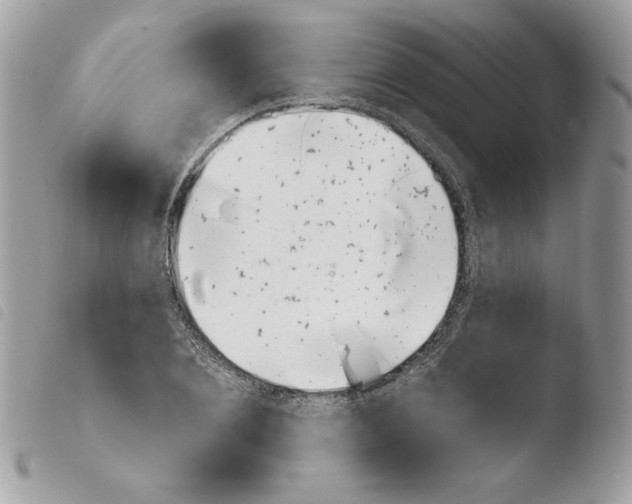 X0000103930884200810171749