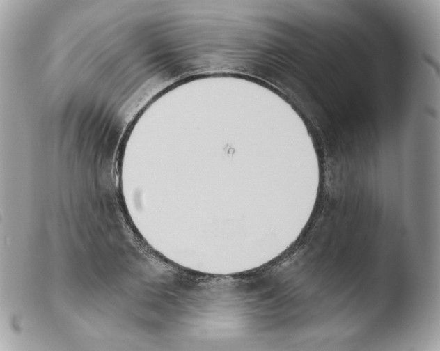 X0000103930885200810171749