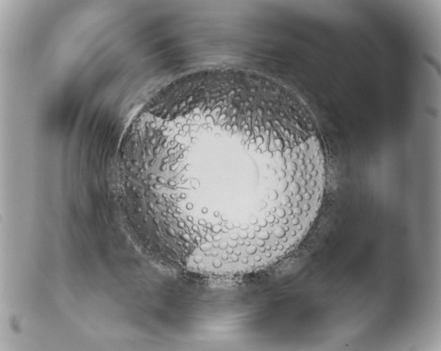 X0000103930887200810171749