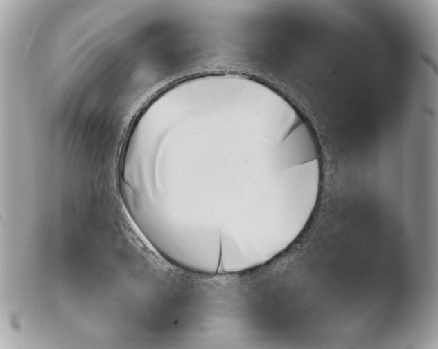 X0000103930888200810171749