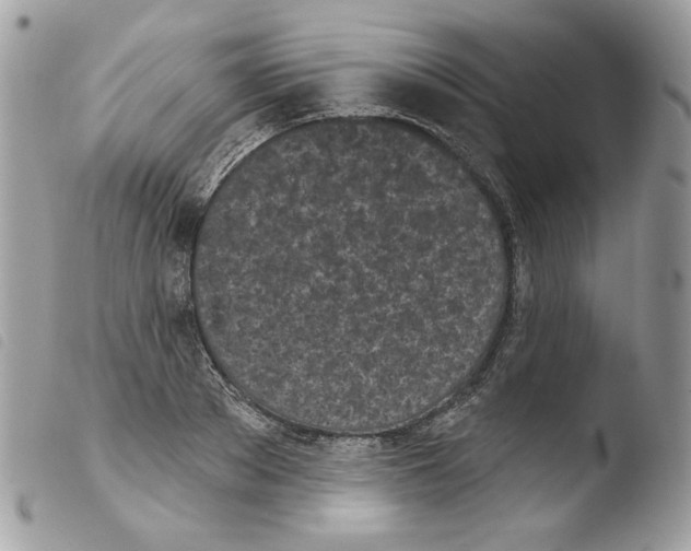 X0000103930889200810171749