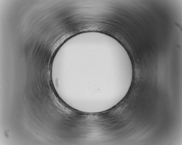 X0000103930890200810171749