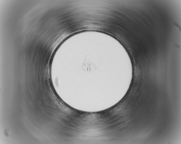 X0000103930891200810171749