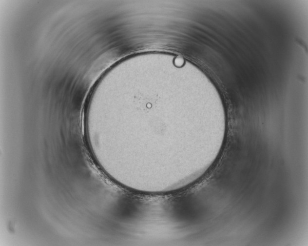 X0000103930892200810171749