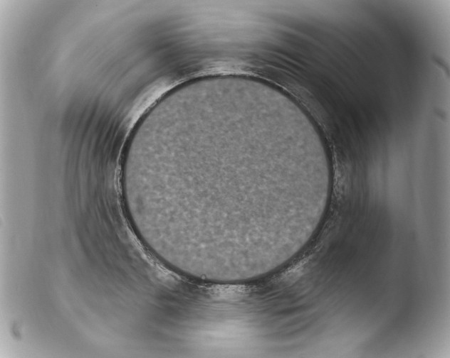 X0000103930893200810171749