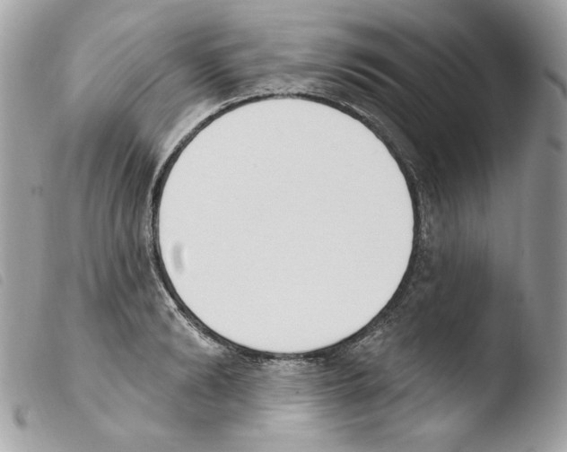 X0000103930894200810171749