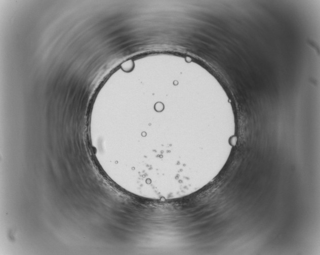 X0000103930895200810171749