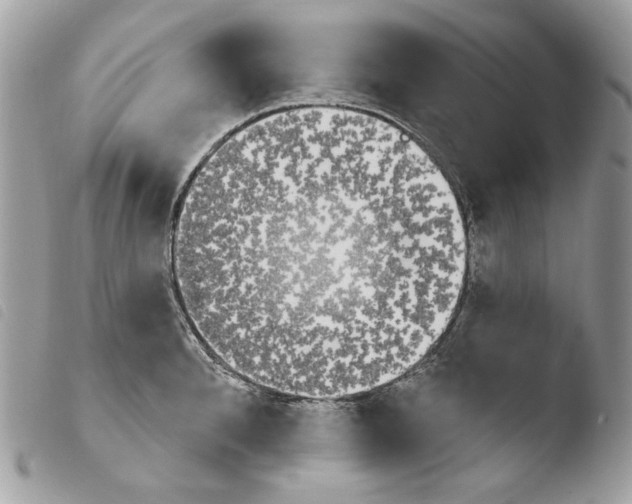 X0000103930896200810171749