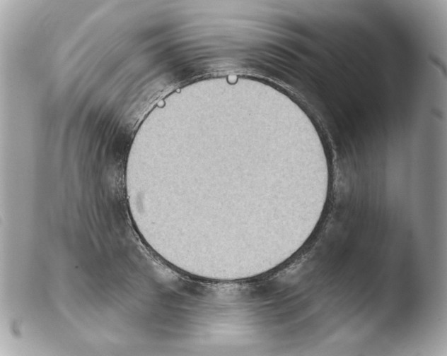 X0000103930897200810171749