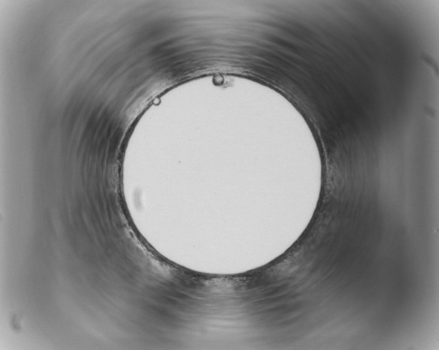 X0000103930898200810171749