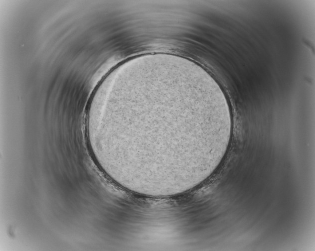 X0000103930899200810171749