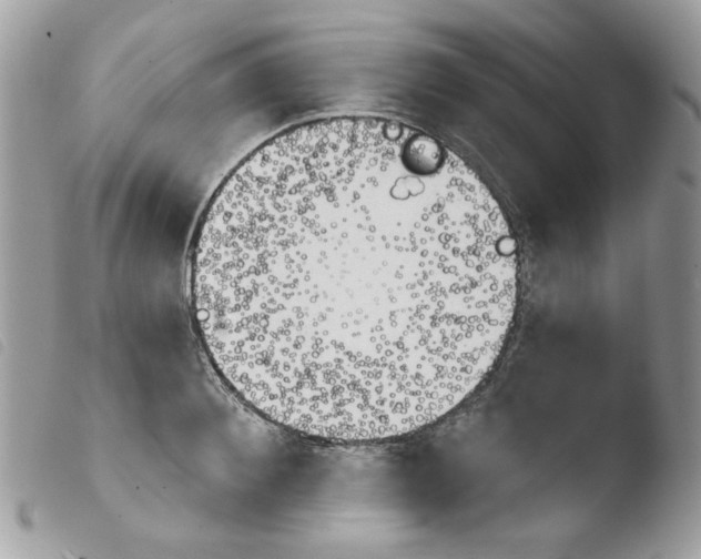 X0000103930900200810171749