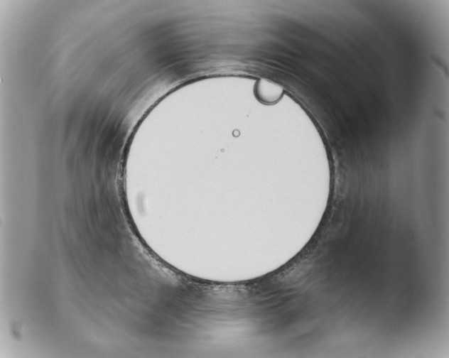 X0000103930901200810171749