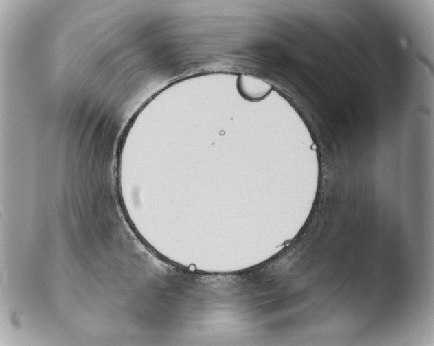 X0000103930902200810171749