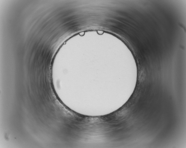 X0000103930903200810171749