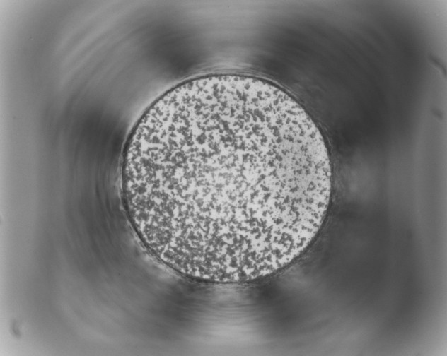 X0000103930904200810171749