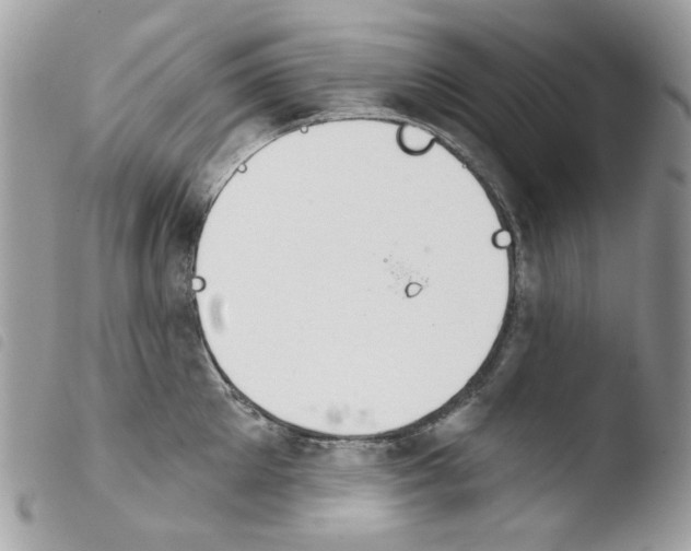 X0000103930905200810171749