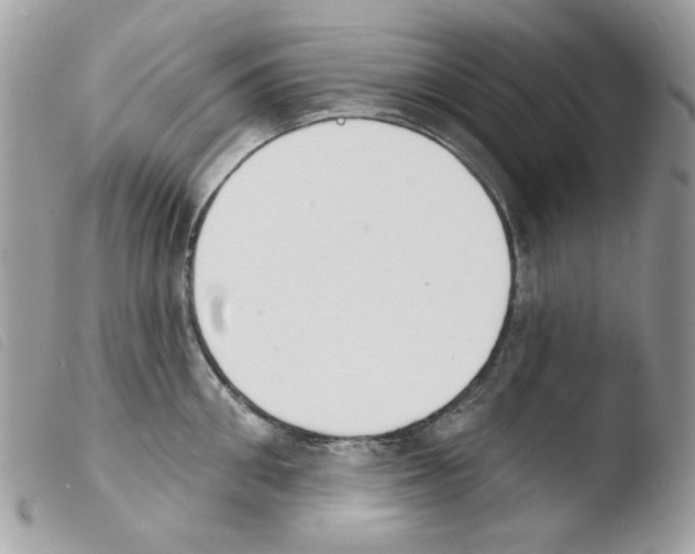 X0000103930906200810171749