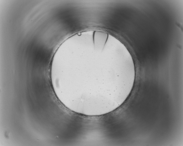 X0000103930908200810171749