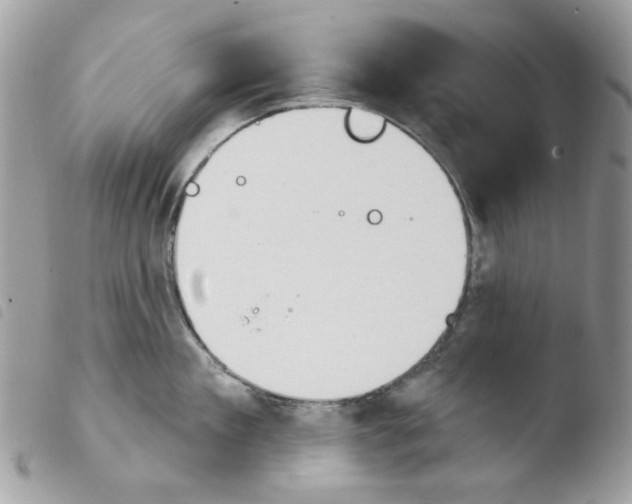 X0000103930909200810171749