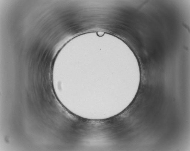 X0000103930910200810171749