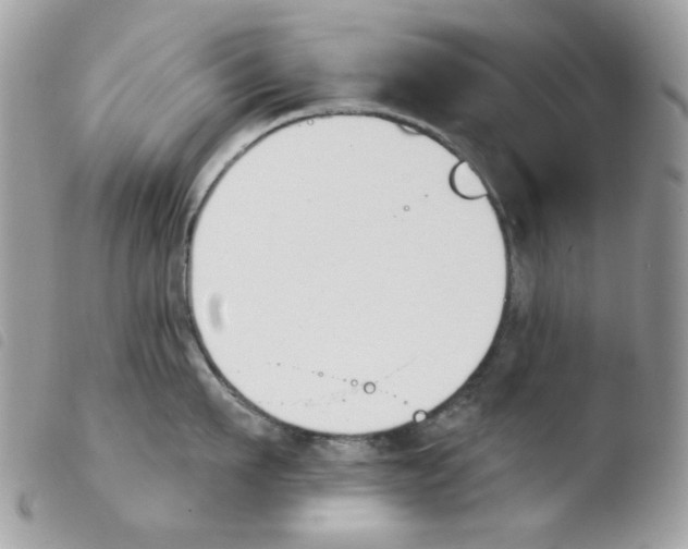 X0000103930911200810171749