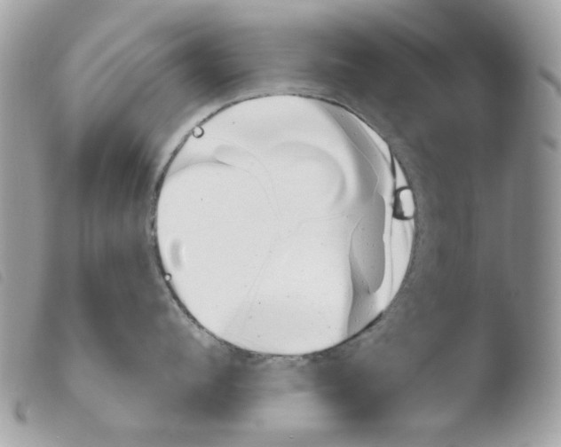 X0000103930912200810171749