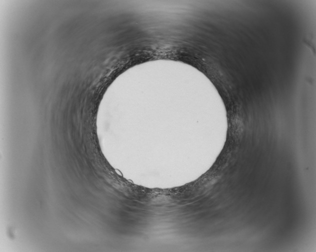 X0000103930913200810171748