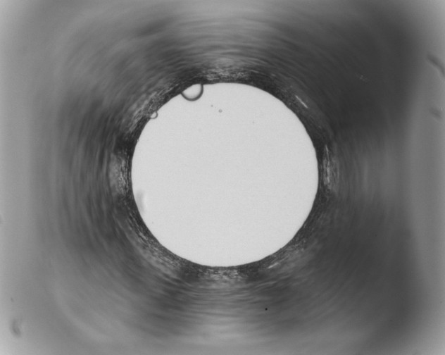 X0000103930915200810171748